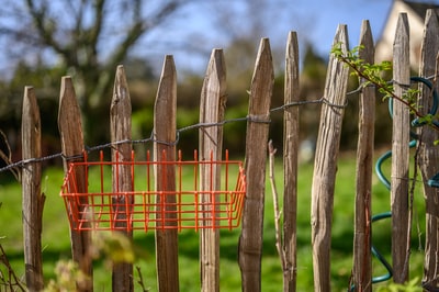 Brown wooden fence and red metal fence
